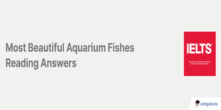 Most Beautiful Aquarium Fishes Reading Answers
